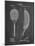 PP1127-Chalkboard Vintage Tennis Racket 1891 Patent Poster-Cole Borders-Mounted Giclee Print