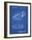 PP16 Blueprint-Borders Cole-Framed Giclee Print