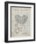 PP24 Antique Grid Parchment-Borders Cole-Framed Giclee Print