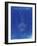 PP39 Faded Blueprint-Borders Cole-Framed Giclee Print