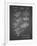 PP40 black grid-Borders Cole-Framed Giclee Print