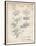PP40 Vintage Parchment-Borders Cole-Framed Premium Giclee Print