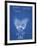 PP406-Blueprint Troll Doll Patent Poster-Cole Borders-Framed Giclee Print