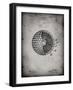 PP42 Faded Grey-Borders Cole-Framed Giclee Print