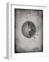 PP42 Faded Grey-Borders Cole-Framed Giclee Print