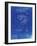 PP45 Faded Blueprint-Borders Cole-Framed Giclee Print