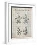 PP50 Antique Grid Parchment-Borders Cole-Framed Premium Giclee Print