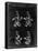PP50 Black Grunge-Borders Cole-Framed Stretched Canvas