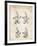 PP50 Vintage Parchment-Borders Cole-Framed Giclee Print