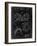 PP504-Black Grunge Vintage Football Shoulder Pads Patent Poster-Cole Borders-Framed Giclee Print