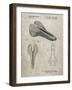 PP637-Sandstone Bicycle Seat Patent Poster-Cole Borders-Framed Giclee Print