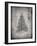 PP765-Faded Grey Christmas Tree Poster-Cole Borders-Framed Giclee Print