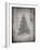 PP765-Faded Grey Christmas Tree Poster-Cole Borders-Framed Giclee Print