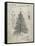 PP765-Sandstone Christmas Tree Poster-Cole Borders-Framed Stretched Canvas