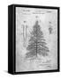 PP765-Slate Christmas Tree Poster-Cole Borders-Framed Stretched Canvas