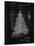 PP765-Vintage Black Christmas Tree Poster-Cole Borders-Stretched Canvas