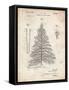 PP765-Vintage Parchment Christmas Tree Poster-Cole Borders-Framed Stretched Canvas