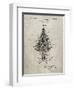 PP766-Sandstone Christmas Tree Poster-Cole Borders-Framed Giclee Print