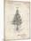 PP766-Vintage Parchment Christmas Tree Poster-Cole Borders-Mounted Giclee Print