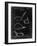 PP9 Black Grunge-Borders Cole-Framed Giclee Print