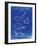 PP9 Faded Blueprint-Borders Cole-Framed Giclee Print