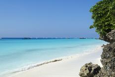 Paradise Beach at Zanzibar in Tanzania, Africa-ppart-Photographic Print