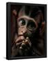 Essential Black