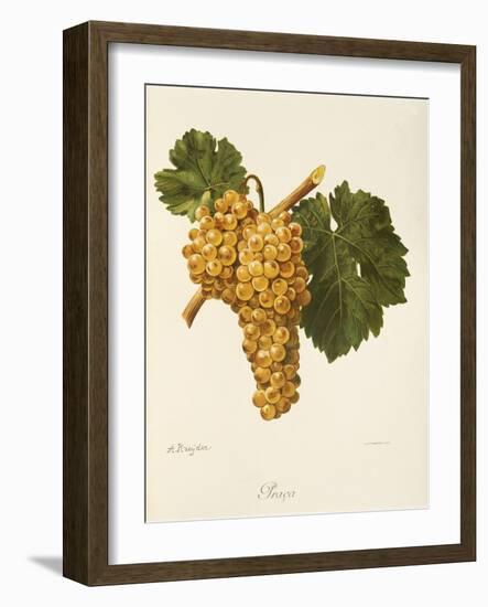 Praca Grape-A. Kreyder-Framed Giclee Print