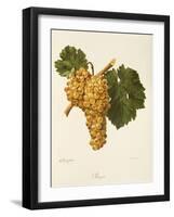 Praca Grape-A. Kreyder-Framed Giclee Print