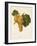 Praca Grape-A. Kreyder-Framed Giclee Print