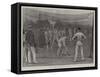 Practising in the Nets at Lord's-Arthur Hopkins-Framed Stretched Canvas