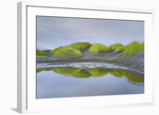 Prados Verdes-Moises Levy-Framed Photographic Print