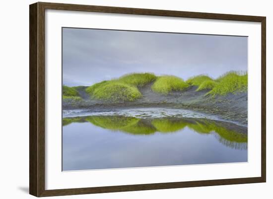 Prados Verdes-Moises Levy-Framed Photographic Print