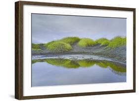 Prados Verdes-Moises Levy-Framed Photographic Print