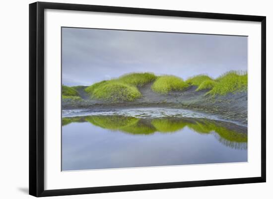 Prados Verdes-Moises Levy-Framed Photographic Print