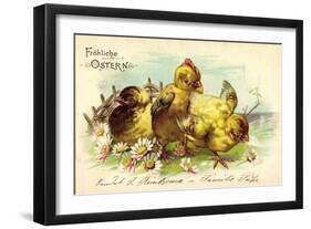 Präge Frohe Ostern, Drei Küken, Gänseblümchen-null-Framed Giclee Print