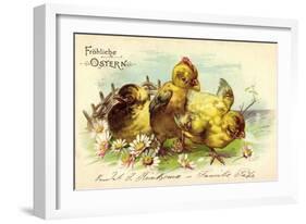 Präge Frohe Ostern, Drei Küken, Gänseblümchen-null-Framed Giclee Print