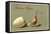 Präge Glückwunsch Ostern, Geschlüpftes Küken, Schale-null-Framed Stretched Canvas