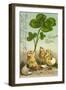 Präge Glückwunsch Ostern, Küken Mit Einem Kleeblatt-null-Framed Giclee Print