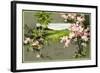 Präge Litho Glückwunsch Pfingsten, Baumblüte, Wiese-null-Framed Giclee Print