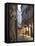 Prague, Czech Republic, Europe-Angelo Cavalli-Framed Stretched Canvas