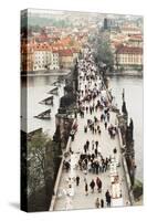 Prague, Czech Republic, View of Bridge and River-Ali Kabas-Stretched Canvas
