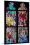 Prague, St. Vitus Cathedral, Chapel of St Agnes of Bohemia, Stained Glass Window-Samuel Magal-Mounted Photographic Print