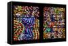 Prague, St. Vitus Cathedral, Schwarzenberg Chapel, Stained Glass Window-Samuel Magal-Framed Stretched Canvas