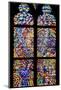 Prague, St. Vitus Cathedral, Schwarzenberg Chapel, Stained Glass Window-Samuel Magal-Mounted Photographic Print