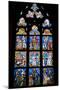 Prague, St. Vitus Cathedral, Southwestern Entrance Hall, Stained Glass Window-Samuel Magal-Mounted Photographic Print