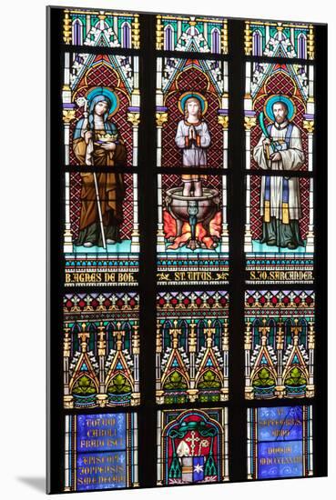 Prague, St. Vitus Cathedral, Stained Glass Window, St. Agnes of Bohemia, St. Vitus, St. Sarcander-Samuel Magal-Mounted Photographic Print