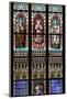 Prague, St. Vitus Cathedral, Stained Glass Window, St. Agnes of Bohemia, St. Vitus, St. Sarcander-Samuel Magal-Mounted Photographic Print