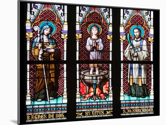 Prague, St. Vitus Cathedral, Stained Glass Window, St. Agnes of Bohemia, St. Vitus, St. Sarcander-Samuel Magal-Mounted Photographic Print