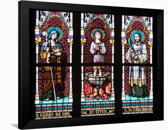 Prague, St. Vitus Cathedral, Stained Glass Window, St. Agnes of Bohemia, St. Vitus, St. Sarcander-Samuel Magal-Framed Photographic Print